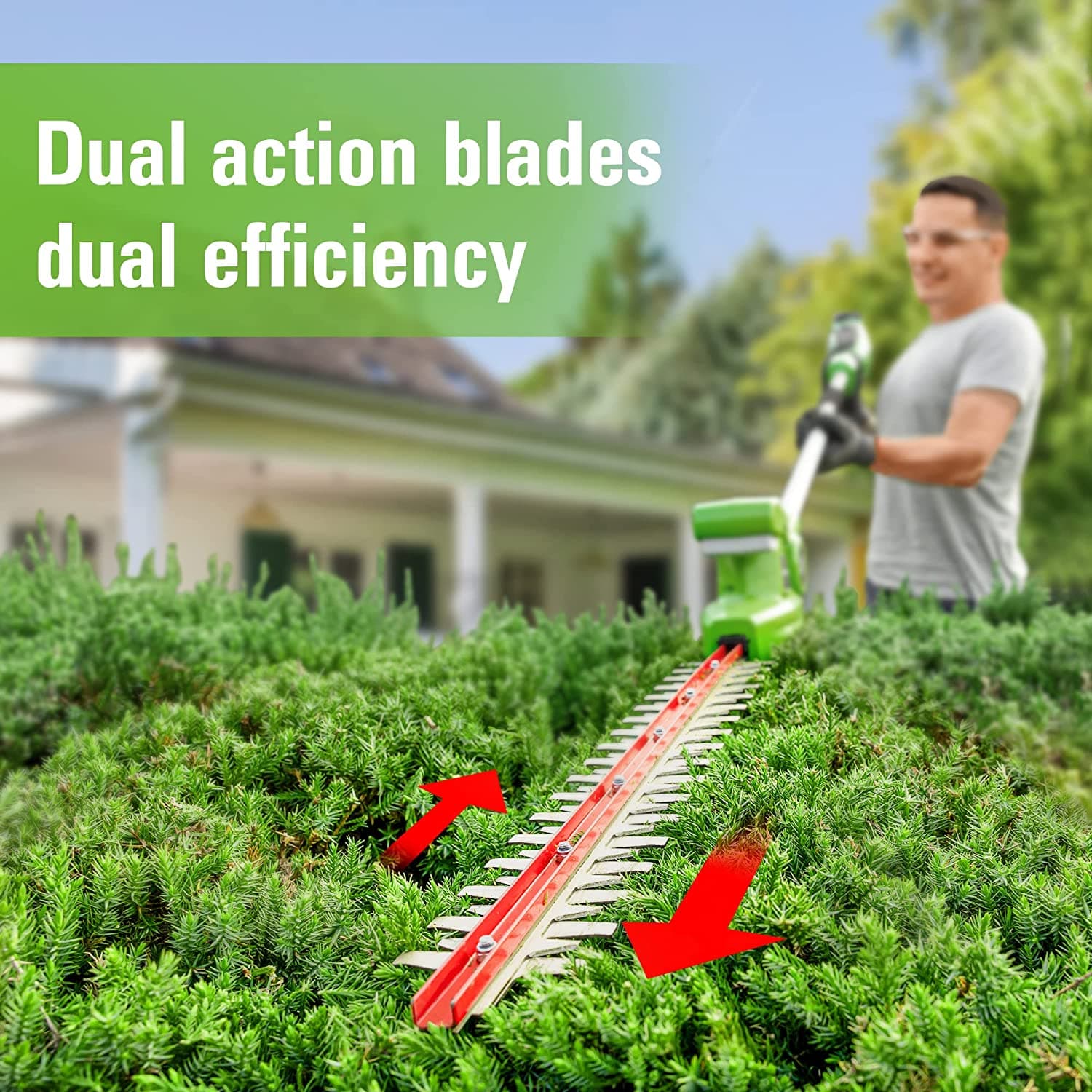 24V Polesaw Greenworks image 2