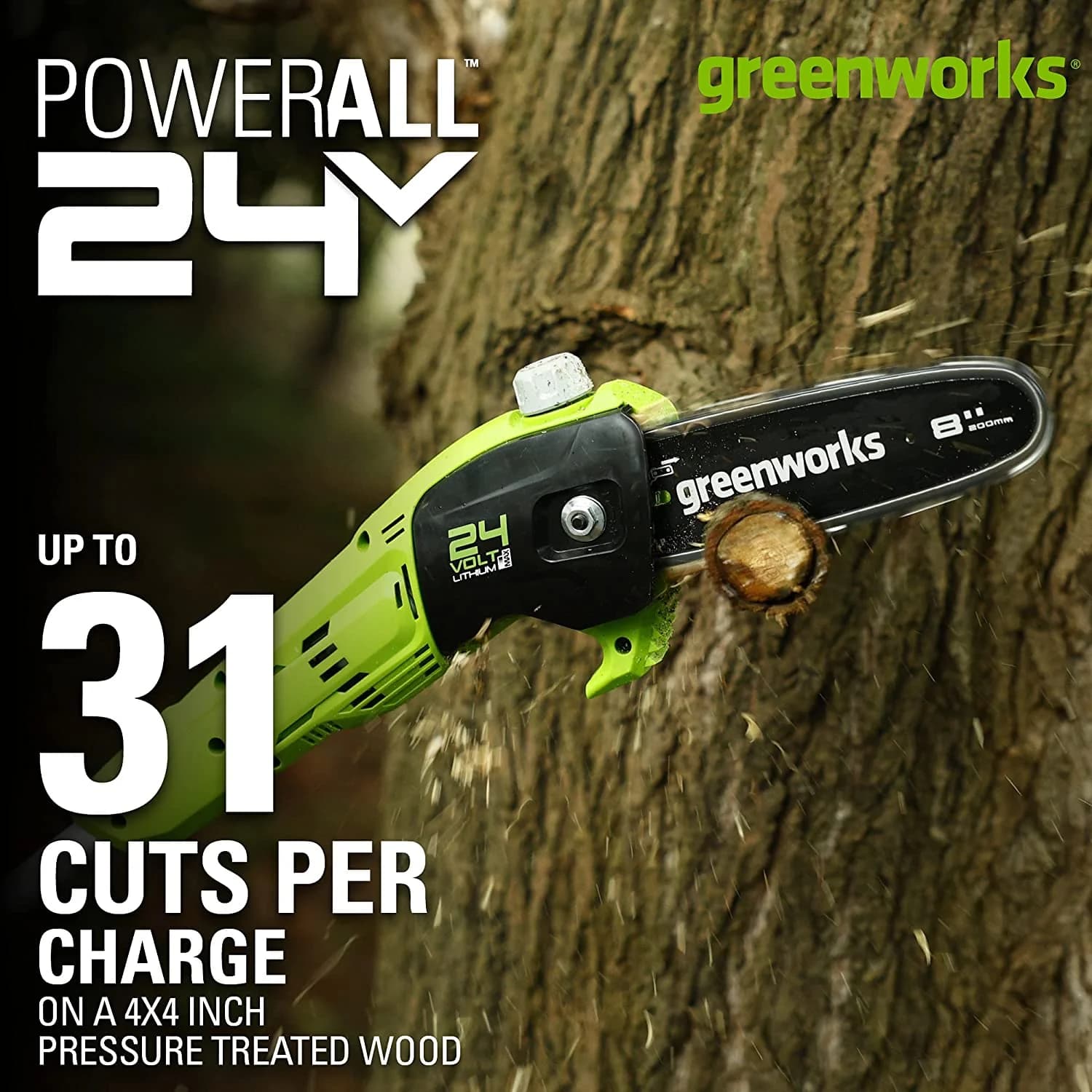 24V Polesaw Greenworks image 3