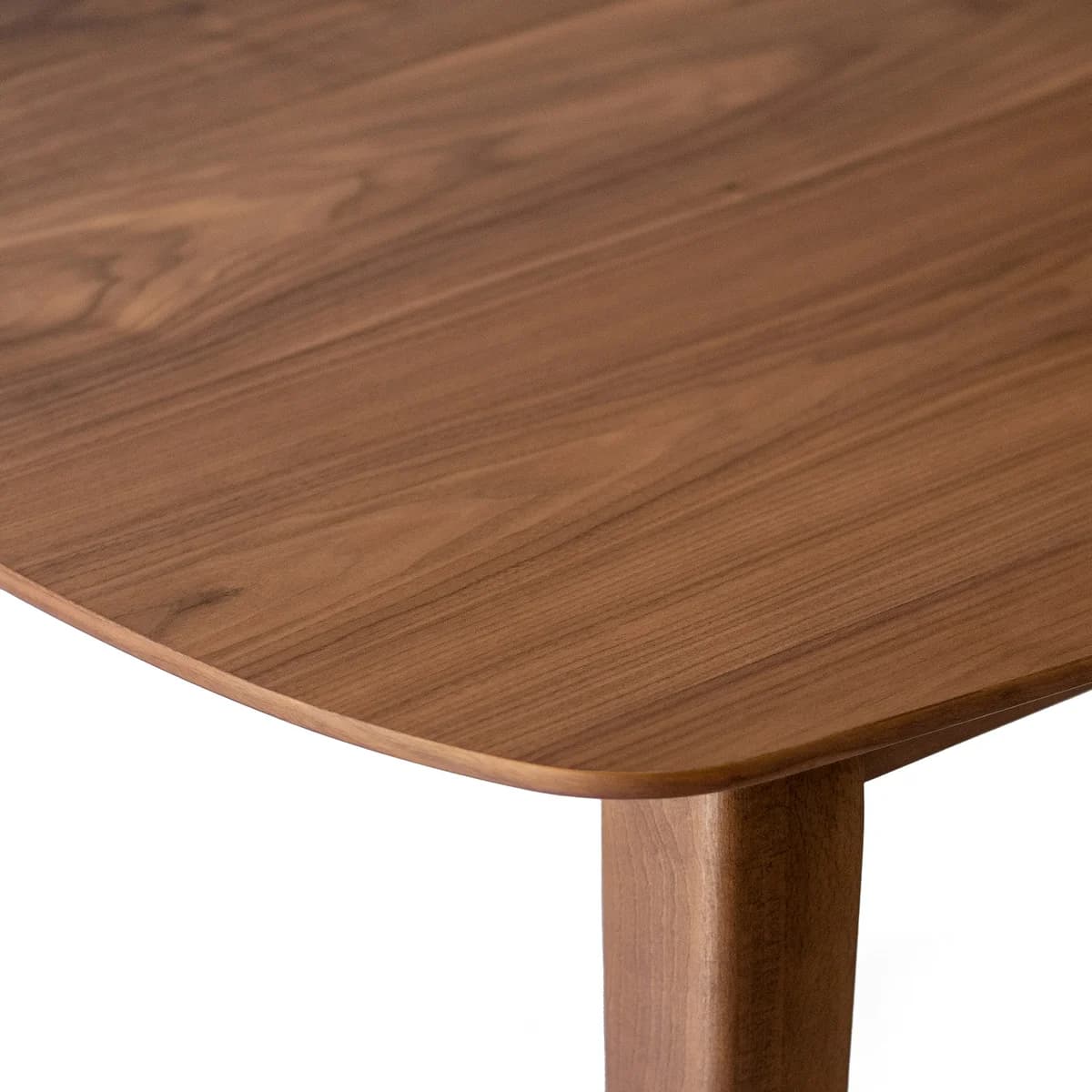 Point Reyes Dining Chair, set of 2 image 11